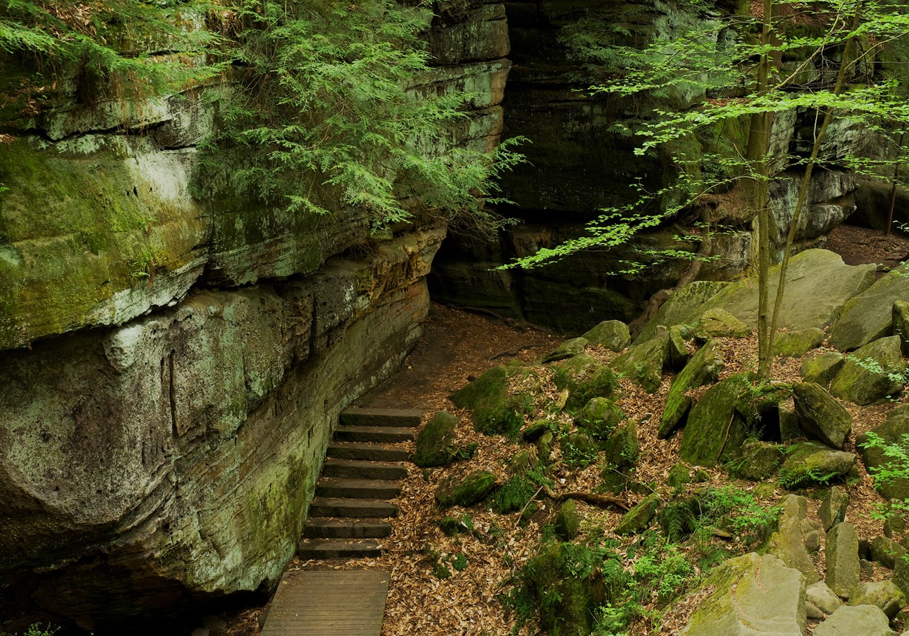 The ledges trail