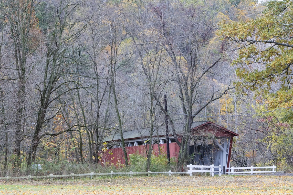 Among the trees, behind a low white rail fence, is a red covered bridge with a white interior.