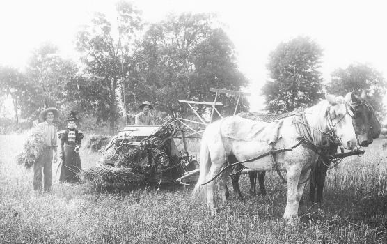 Black and white photo of three people standing behind a hay bailer drawn by three draft horses.