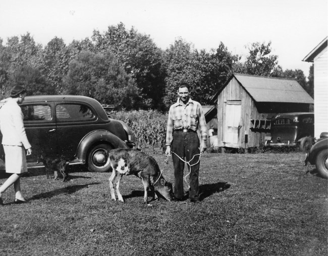 A man stands with a leashed young cow, with fields, old cars, and outbuildings behind him.