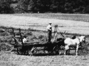 A black and white photo circa 1917 of a farmer and a child ride a horse drawn hay wagon.