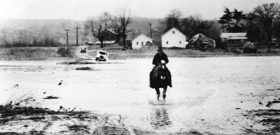 Black and white photo of a 1930s flood of Bolanz Road. A man rides a horse down a flooded street. Houses and farm land is in the background.