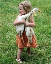 Young child carrying two ducks at The Spicy Lamb Farm.