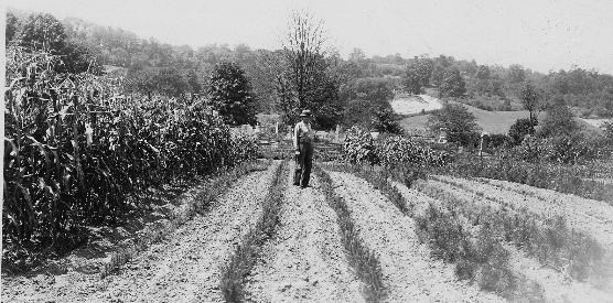 Black and white photo of a man in overalls standing between rows in a plowed field; tall corn to the left and hills in the background.