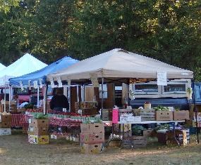 Tents and produce lined up at Countryside Food and Farms' Market at Howe Meadow.