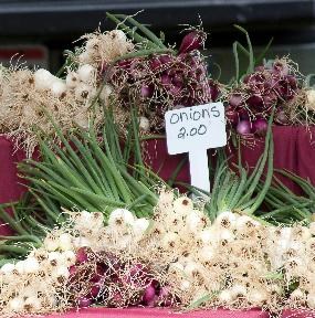 Bundles of green and purple onions at a farmer's market table.