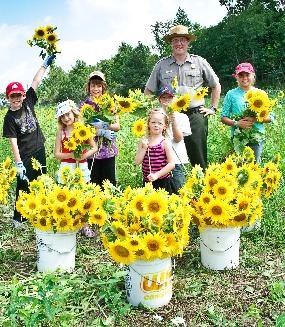 National Park Service educational program at Greenfield Berry Farm. Five young children hold handfuls gathered sunflowers behind three full buckets of sunflowers. A National Park Service Ranger stands with them in uniform.
