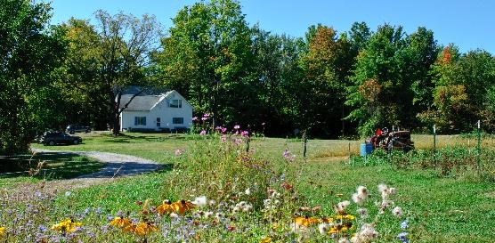 Greenfield Berry Farm, a white, two-story house, viewed from the far side of a green farm field. There are colorful wildflowers growing in the field and lush, green trees around the house and field.