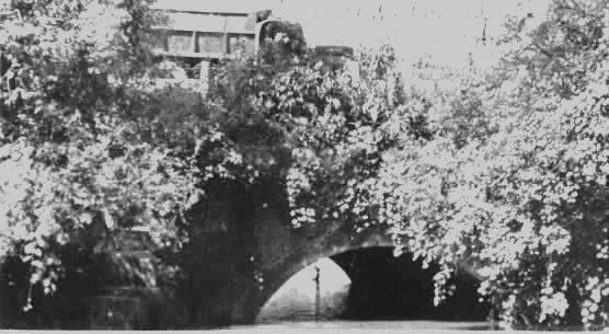 Black and white photo of Howe aqueduct. Bushy trees surround a river with a bridge structure going over the river.