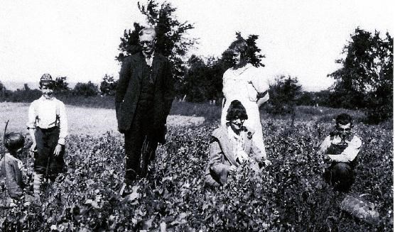 Allen Welton's descendants at the farm; an older gentleman in a suit stands in a field of crops, unsmiling, while five children gather crops around him in a black and white photo.