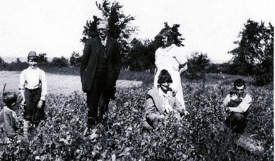 Allen Welton's descendants at the farm. Allen Welton's descendants at the farm; an older gentleman in a suit stands in a field of crops, unsmiling, while five children gather crops around him in a black and white photo.