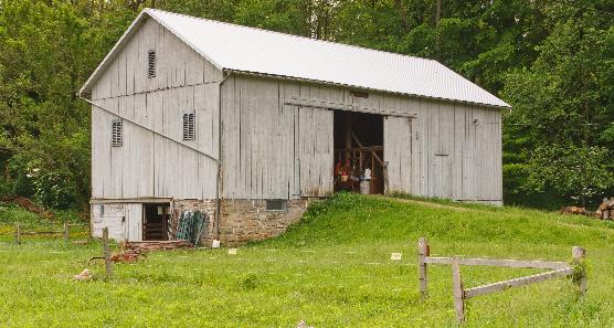 Point Farm barn, a light cream colored barn on a small hill in the middle of a green field. A green forest is in the background.
