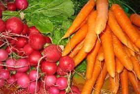 Carrots and radishes. Carrots and radishes.