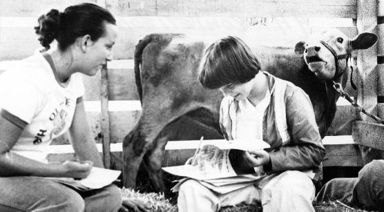 4-H Club competition at county fair.