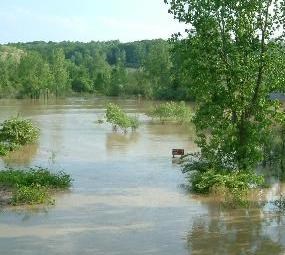 2004 photo of a flood at a trailhead. Bright green trees are around the water and the background and high waters are everywhere.
