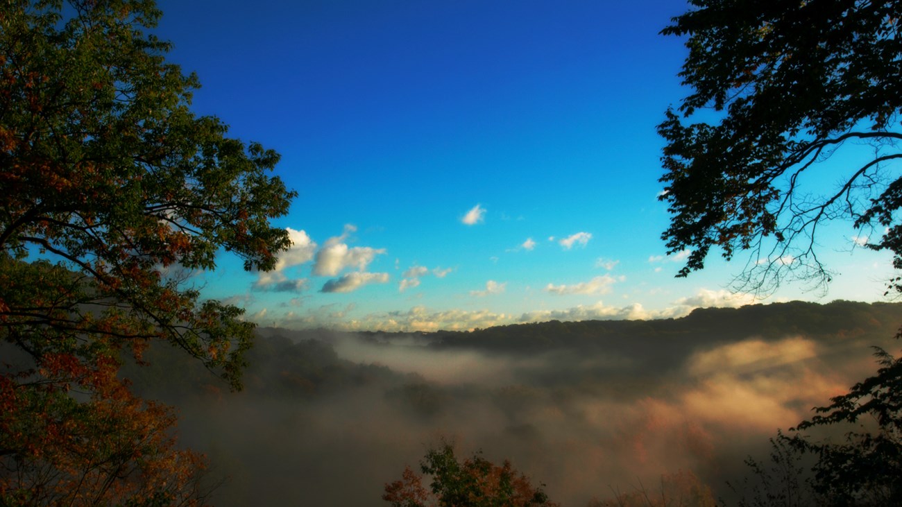 Scenic view of a fog-filled forested valley with blue sky overhead; gentle, low-angle sunlight coming from the right.