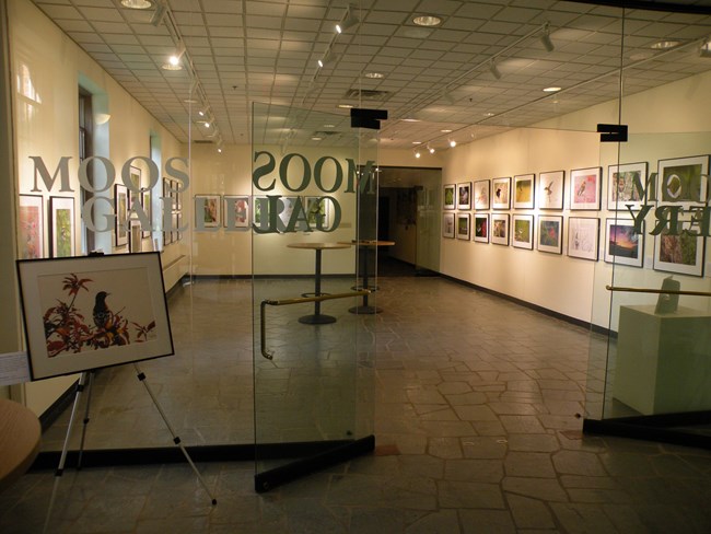View through an interior glass wall with an open door. Text reads “Moos Gallery” repeated twice. Inside, over 30 framed bird photos hang on cream walls. A framed photo of a Baltimore oriole rests on an easel outside on the left.