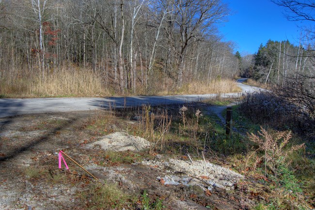 A view from Riding Run Trail of the section of Everett Road to be removed.