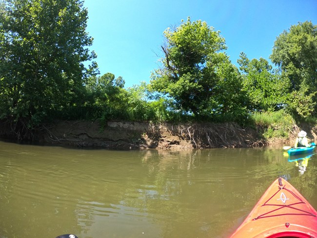 View of eroded riverbank from kayak.