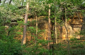 Sandstone at the Ledges in spring