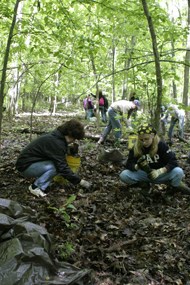 Girl Scout Volunteers Girl Scout Volunteers