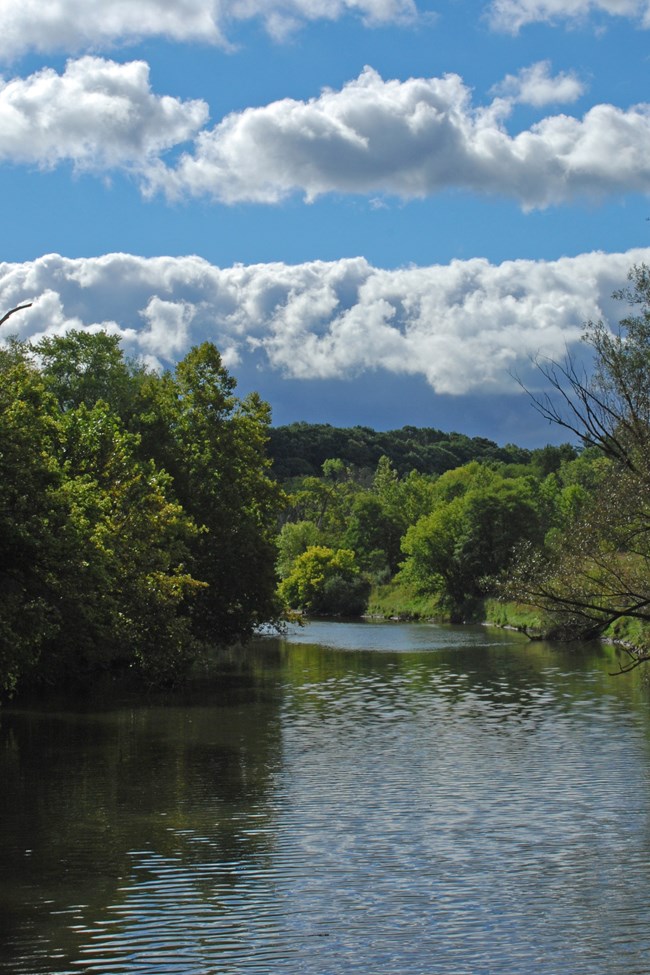 A river flows between tree-lined shores, under a blue sky with white clouds.