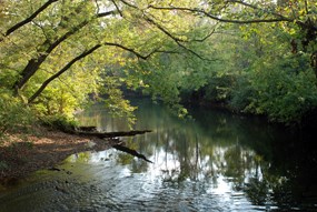 Cuyahoga River in summer