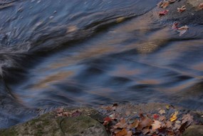 Close-up photo of flowing stream in fall
