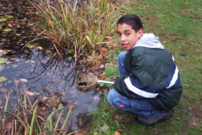 Discovering pond life Discovering pond life