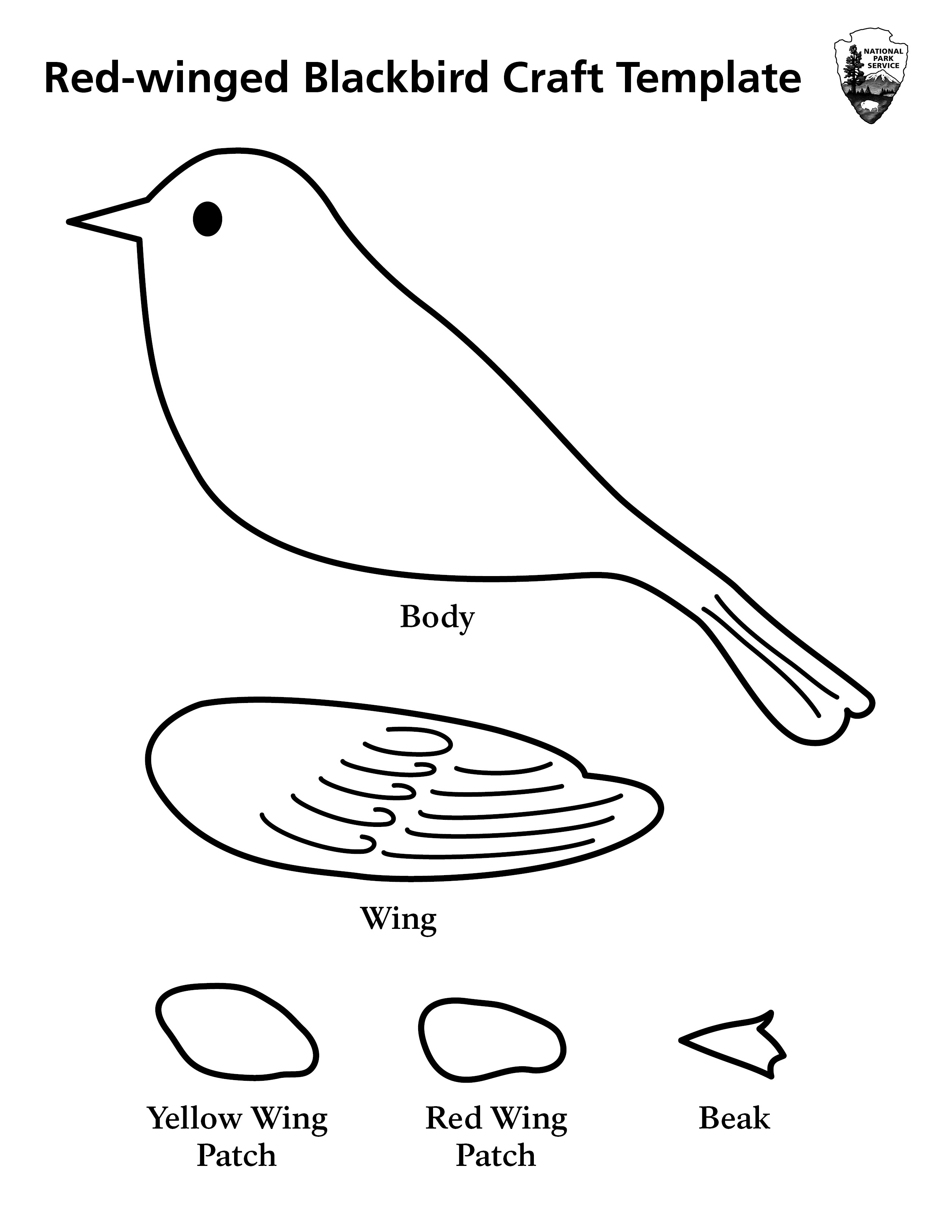 red wing black bird coloring pages