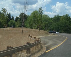Tall brown grass next to a paved parking area.