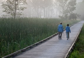 Walkers on Foggy Towpath Trail at Stumpy Basin