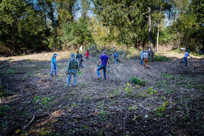 A dozen people in work clothes drag and pile brush in a clearing surrounded by forest.