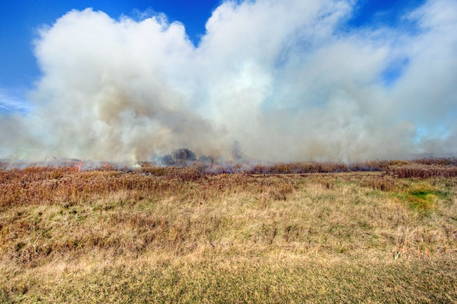 Translucent smoke rises into a blue sky from a low line of fire in a brown and green meadow.