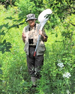 Citizen Scientist collecting butterflies on a summer day