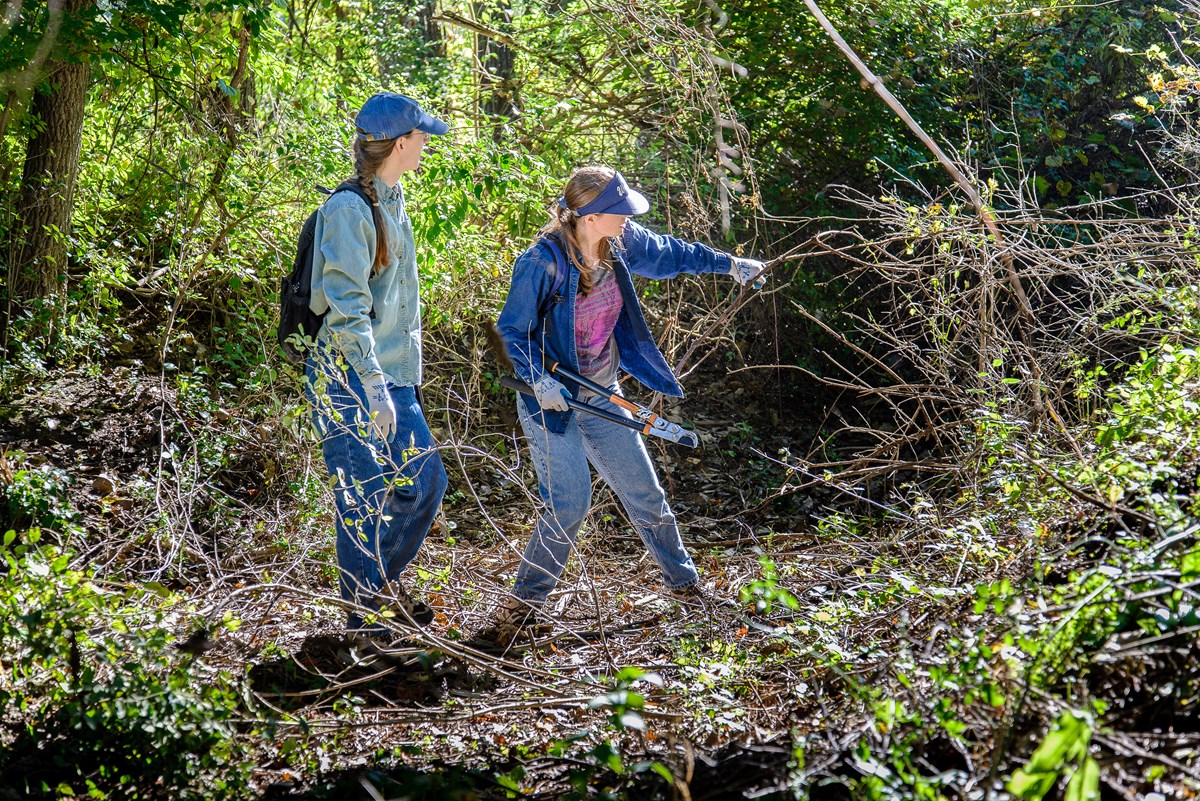 Two people with long hair, wearing jeans, long sleeves and blue hats stand amid brown brush with small green leaves. One person holds a pair of long-handled loppers in one hand and a branch in the other.