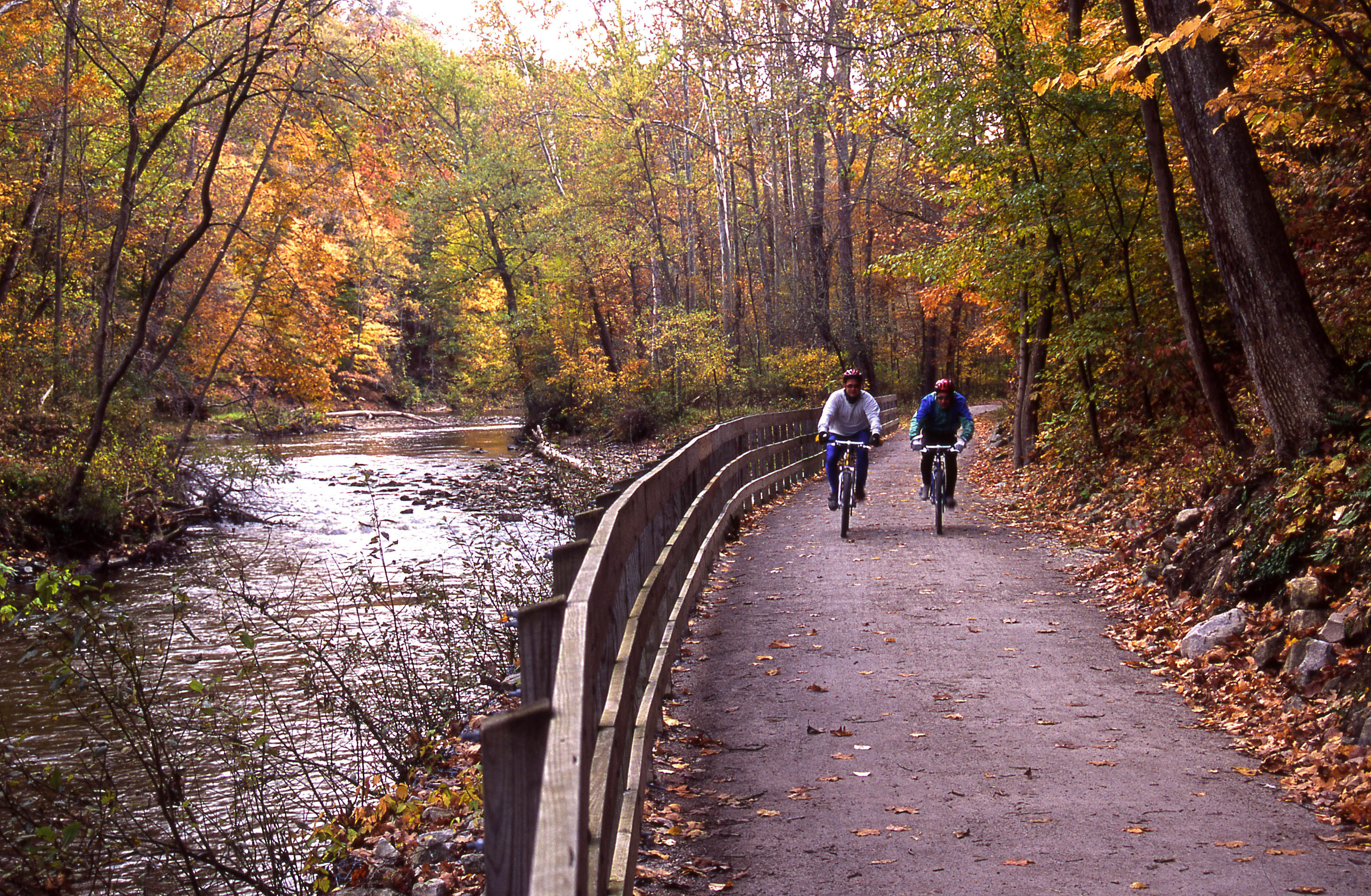 Two people on bicycles on a flat trail surrounded by fall forest colors. A wooden fence in the center divides the trail to the right and the river to the left.