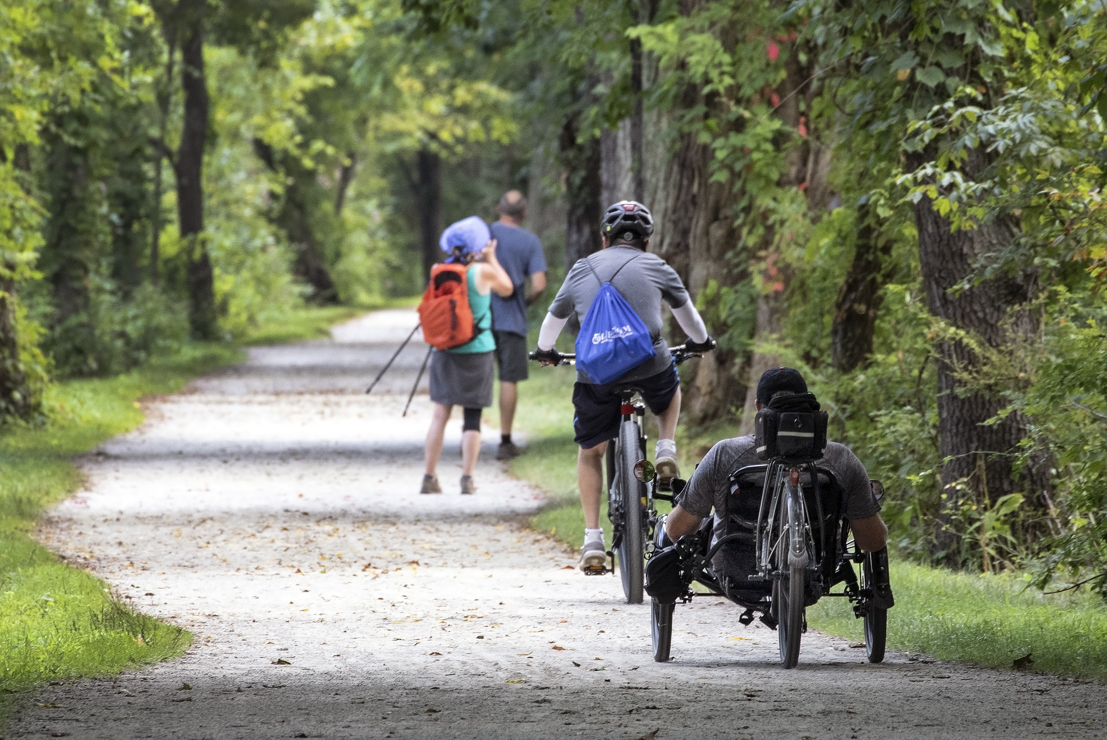 People walking, running, and riding bikes down a flat path in the forest.