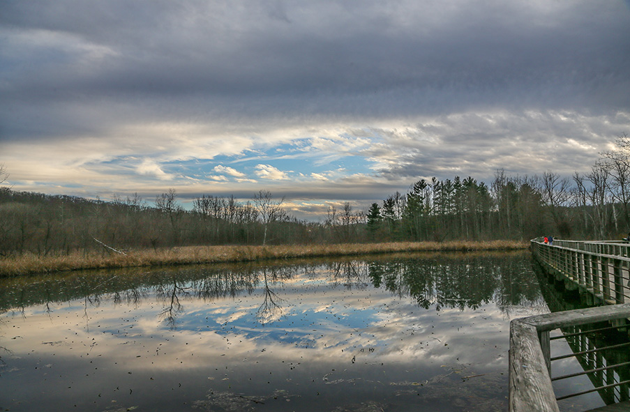 Wetland with grey clouds and blue sky reflected in water, wooden boardwalk on the right. Leafless trees in the distance.