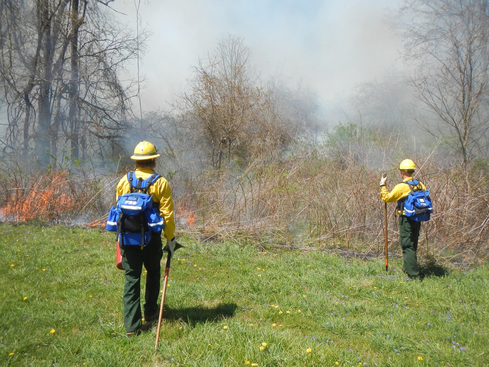 Bottom half: 2 firefighters in yellow helmets standing in green grass. Top half: burning dry brush, smoke, and leafless trees.