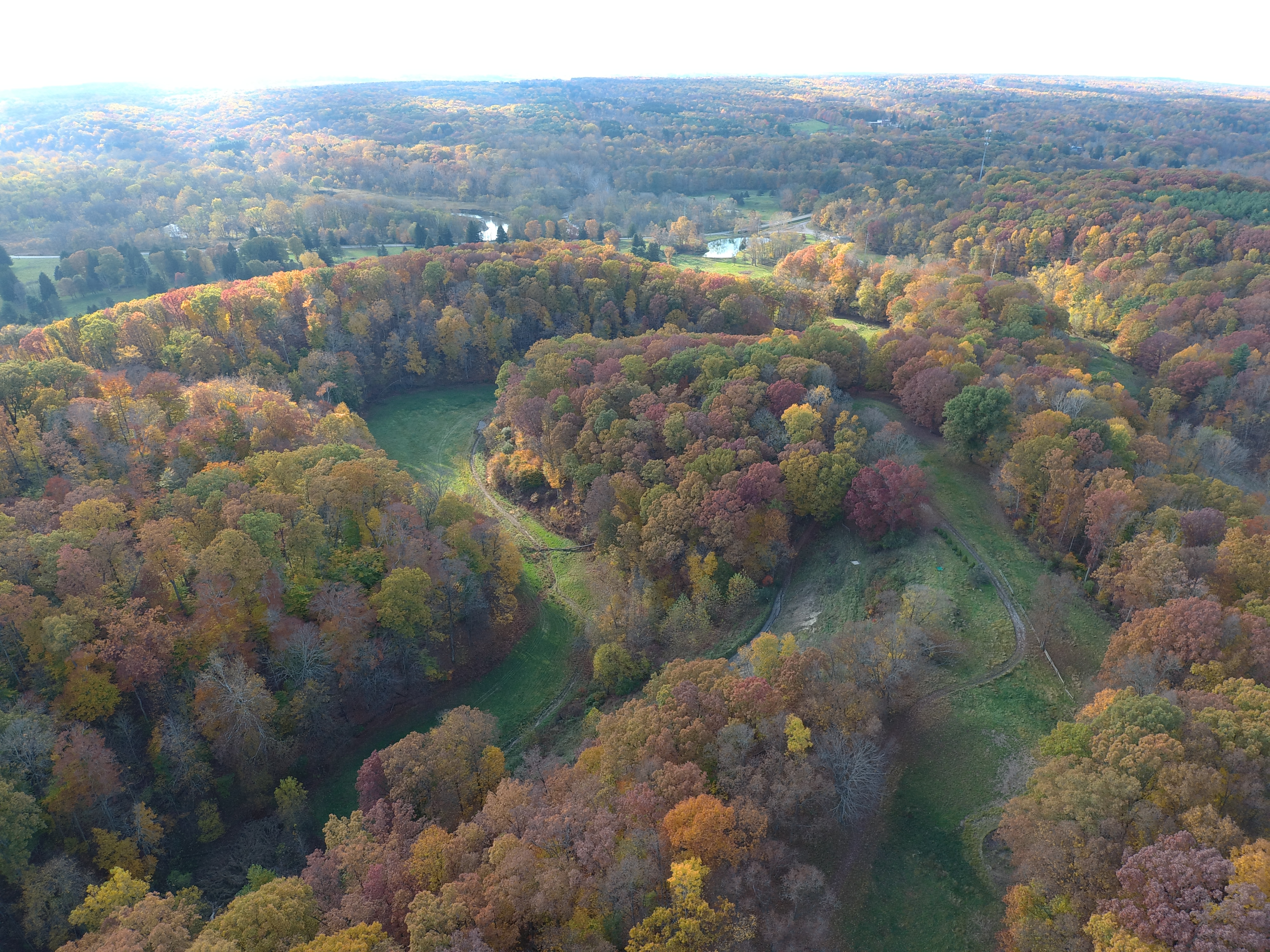 Aerial view showing trees and golf course greens