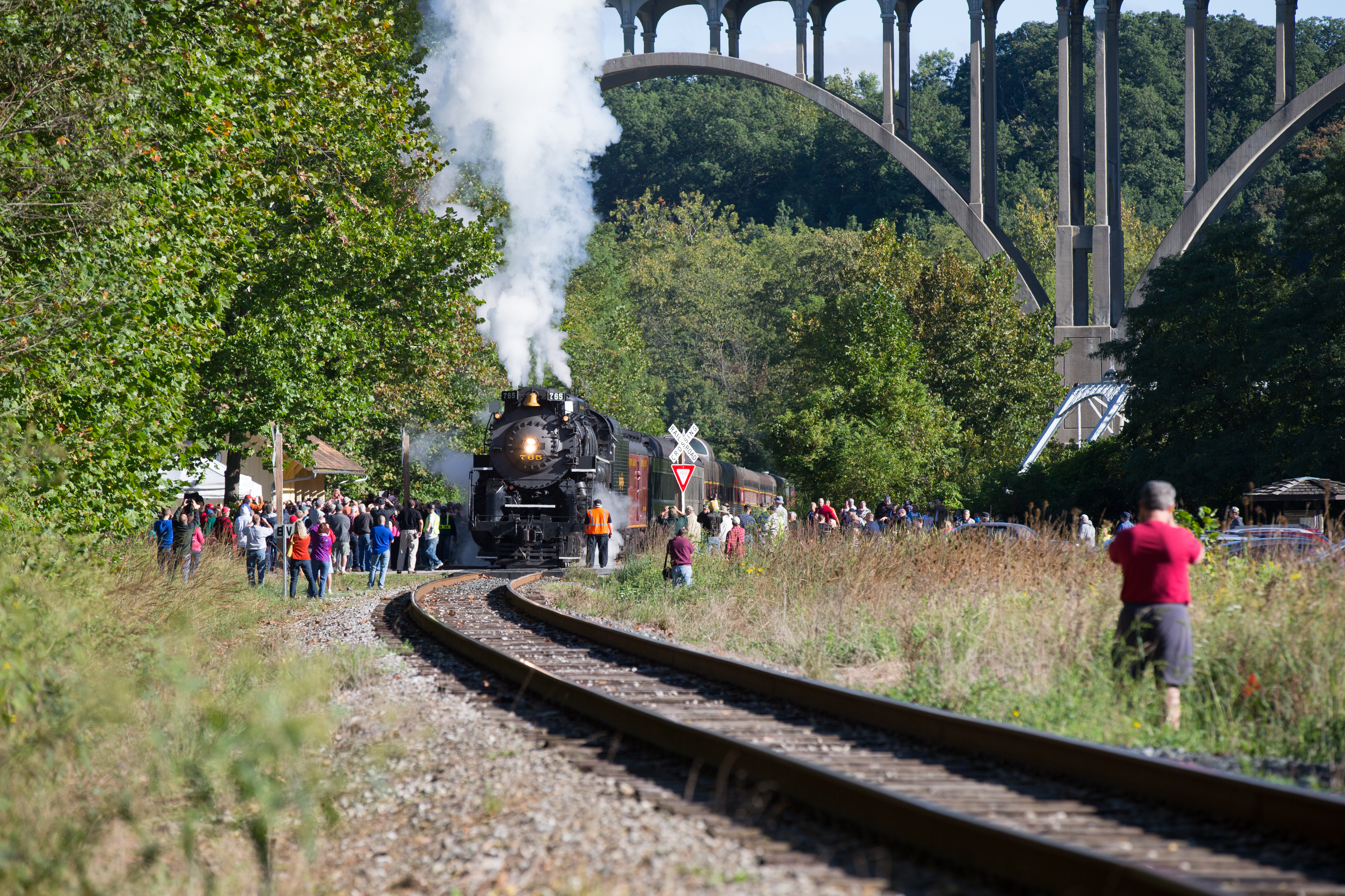 Steam engine approaches on railroad tracks surrounded by people and green foliage, bridge in background.