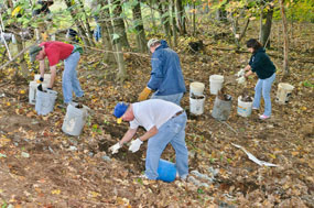 NPLD_NPS Ted Toth