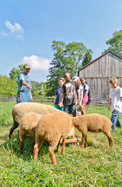 farm photo_Conservancy for CVNP