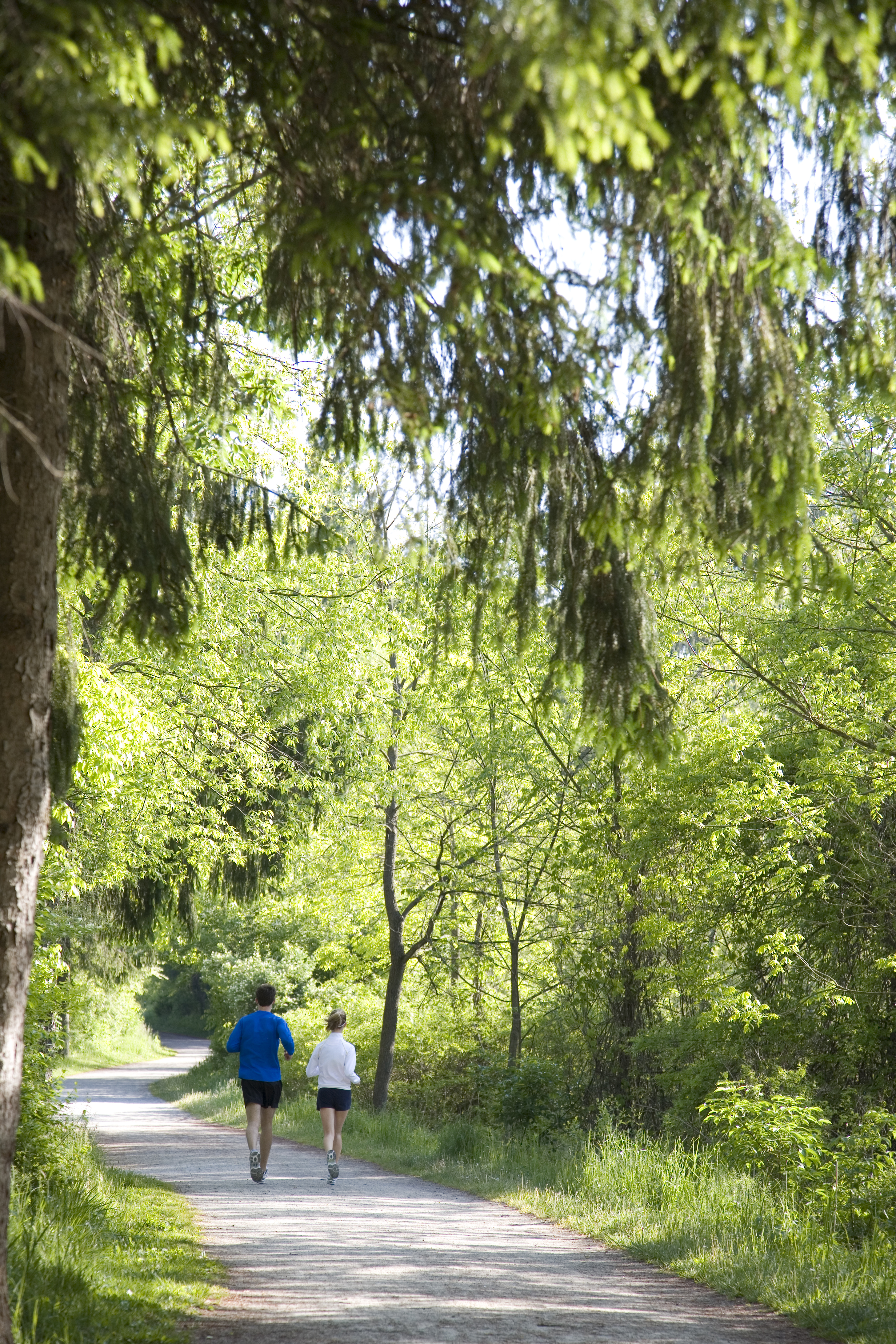 Erie Canal Trail Mileage Chart