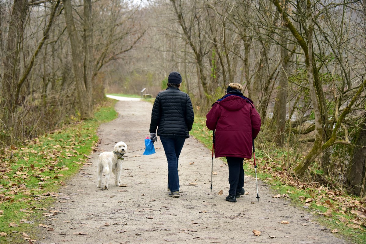 Two people in winter coats walk down a wide, gray trail through trees. The person on the left holds the leash of a white dog, who turns back toward the camera.