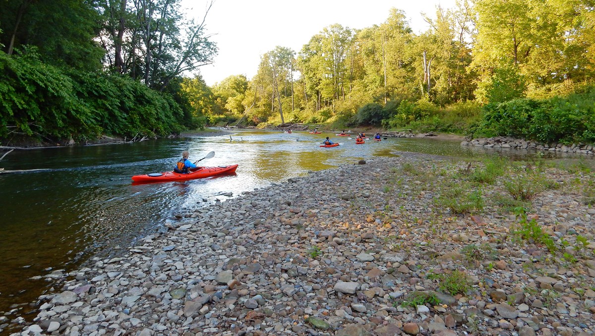 People paddle a group of orange kayaks around a pebbly bend in the river; the rest of the shore is lined in green shrubs and trees.