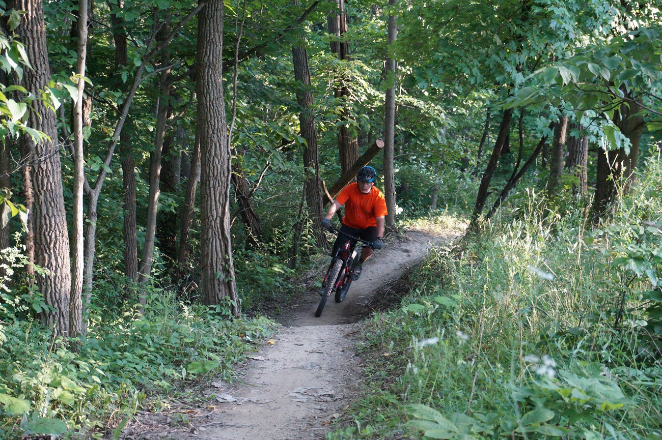A cyclist in orange shirt and black helmet rides along a narrow dirt path through green undergrowth and trees.