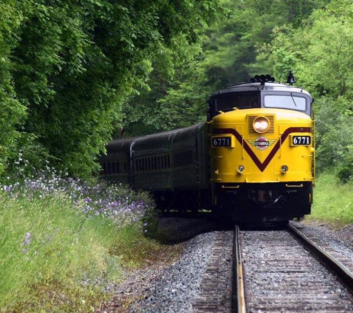 Train coming down the tracks surrounded by trees Train coming down the tracks surrounded by trees