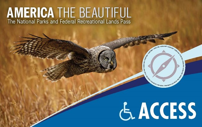 2019 Access Pass image with a brown owl flying low over a golden field.